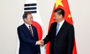 시진핑 “김정은, 비핵화 의지 변함없다”…文 대통령 “조속한 북미 대화 희망“