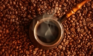 커피의 유전자 보호 효과 입증