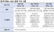 [단독] 거래소, 탄소효율지수·코스닥 ESG 지수 선보인다