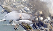 부메랑된 후쿠시마 방출 세슘…1년만에 일본으로 돌아왔다