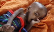 지난해 ‘기아 고통’ 인구 8억2000만명…전쟁·기후변화로 3년 연속 증가