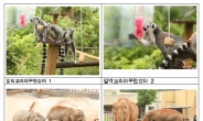 서울동물원, ‘동물원 여름나기’ 언론에 공개