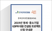 KISA, 기업 GDPR 대응 컨설팅 제공