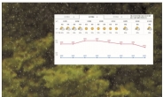 일주일 뒤 날씨?…여름 예보, 또 틀렸네