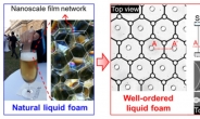 맥주 거품 착안해 손쉽게 '나노 구조' 새긴다