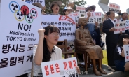 [헤럴드포토] 日 아베 정부 규탄하는 시민들