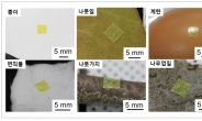 돌·계란껍데기에 '접착제 없이' 붙이는 전자소자 개발