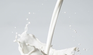 [리얼푸드]수분 보충에 가장 적합한 음료는 '우유'