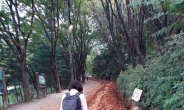 계족산 황톳길·대청호반길…대전의 ‘속살’을 따라 걷다