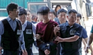 '미국 대사관저 월담' 대진연 회원 4명 구속