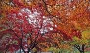 서리 내린다는 ‘상강’…전국 흐리고 남부·영동 가을비