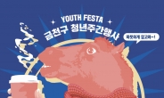 금천구, 청년·청소년연합축제 ‘Youth Festa’ 개최