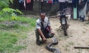 6m 뱀과 사투…아내 구한 용감한 印尼남편