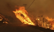 [H#story] ‘비상사태 선포’ 캘리포니아 화재…