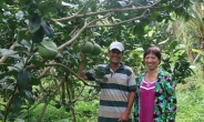 교보생명, 베트남 농가에 종묘 16만 그루 지원