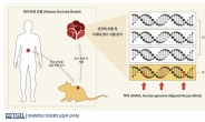 암세포 시료분석 ‘정확도 58% 높인’ 검사법 개발