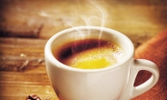 계피 추출물 한방울 커피가 달라진다...프렌치 프레스 커피는 유방암 예방 효과…