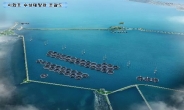 시화호에 국내 최대 수상태양광 …3만5000가구 전력공급