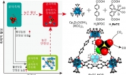 케이지 형태로 감싼 분자촉매, 효율·안정성 동시에 높인다