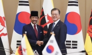 文대통령 “LNG 등 협력 확대”…브루나이 국왕 “韓기업 투자 기대”