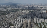 서울 기존 아파트 ‘큰손’ 부상 30대…청약 포기한 이유