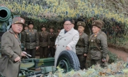 김정은, 해안포 사격 명령 파문…하태경 “文대통령 北·日 태도 이중적”