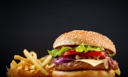 [리얼푸드]식약처 “햄버거 주문시 알레르기 유발 성분 꼼꼼히 확인해야”