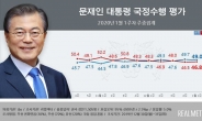 文대통령 지지율 49.0% '소폭 하락'…與지지도 41.9%