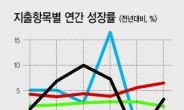 재정만 ‘펑펑’…민간성장 고작 0.5%