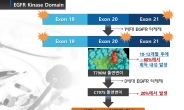 화학硏, 돌연변이 폐암표적치료제 美 임상 1상 돌입