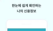 외국인 전용 금융플랫폼 앱 나왔다