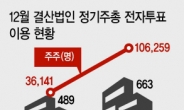 대기업 유치·플랫폼 경쟁 힘입어…전자투표제 ‘원년’ 되나