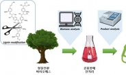 목질계 바이오매스 활용…고효율 바이오연료 생산공정 개발