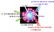 나노캡슐로 유해물질 실시간 모니터링 가능해진다