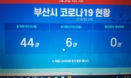 부산지역 코로나19 확진자 22명, 추가동선 공개