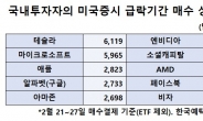 발빠른 테슬라 韓투자자들…폭락장에 740억 더 샀다
