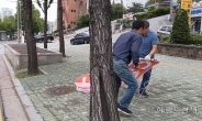 서대문구, ‘불법 유동광고물 수거보상제’로 도시미관 개선