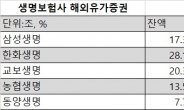 샌님 규제에…보험사 해외투자 ‘배보다 커지는 배꼽’