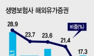 해외투자 ‘샌님’ 규제에…보험사 ‘배보다 큰 배꼽’