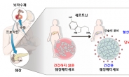 모유수유가 산모 당뇨병 발병확률 낮춘다