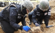 국방부, 6일 6.25전사자 유해발굴사업 개시…11월까지 전국 36곳 진행