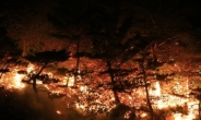 [단독] “내년에는 철저 대비”…‘고성산불 주범’ 양간지풍 원인 내달 밝힌다
