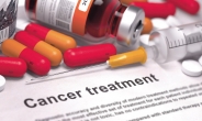 “항암제 시장 ‘레드오션’은 없다”…제약업계 ‘믿음의 행보’