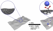 지구온난화 주범 이산화탄소로 수소·전기 동시에 만든다