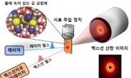 세계 최초 화학반응 과정 원자 움직임 관찰 성공