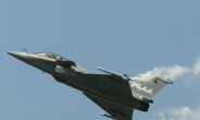 ‘국경분쟁’인도, 전투기 라팔 긴급 도입 …中과 충돌 대비?