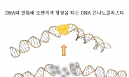 원자력기술로 난치성질환 진단 ‘바이오센서’ 원리 찾았다