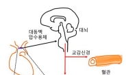 고혈압 유발 원인 찾았다…새 치료제 개발가능성↑