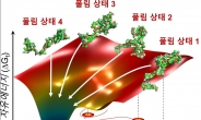 알츠하이머·치매 정복 실마리…단백질 접힘과정 관측 성공