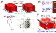 광전변환효율 14.1% 구현…신개념 페로브스카이트 양자점 태양전지 개발